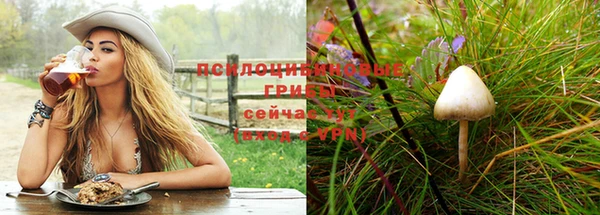 дурь Переславль-Залесский
