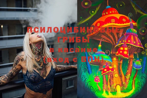 прущий лед Пересвет