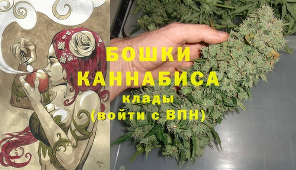 прущий лед Пересвет