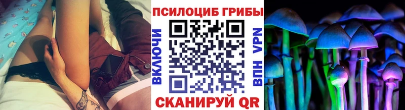 Галлюциногенные грибы Psilocybe Байкальск